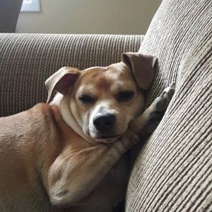 Meet your Posher, Gianna